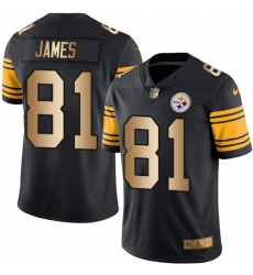 Men's Nike Pittsburgh Steelers #81 Jesse James Limited Black/Gold Rush Vapor Untouchable NFL Jersey