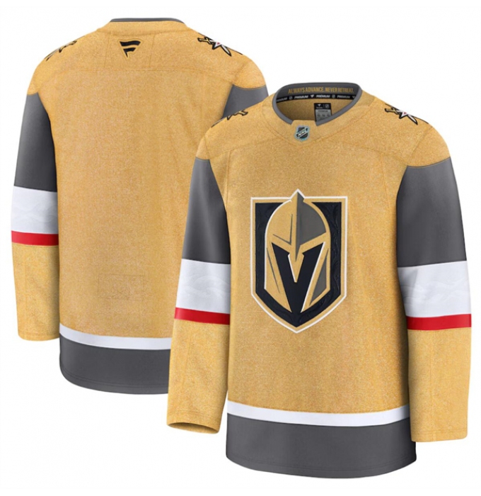 Men's Vegas Golden Knights Blank Gold 2024-25 Home Stitched Hockey Jersey